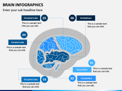 Brain Infographics PPT Slide 10
