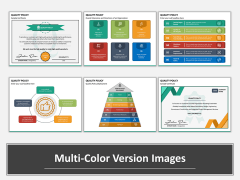 Quality Policy Multicolor Combined