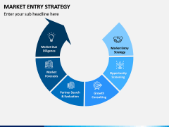 Market Entry Strategy PPT Slide 8