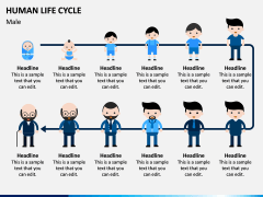 Human Life Cycle PPT Slide 3