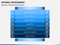 Internal Environment PPT Slide 3