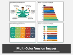 Project Management Challenges MC Combined