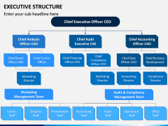 Executive Structure PPT Slide 1