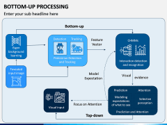 Bottom-Up Processing PPT Slide 5