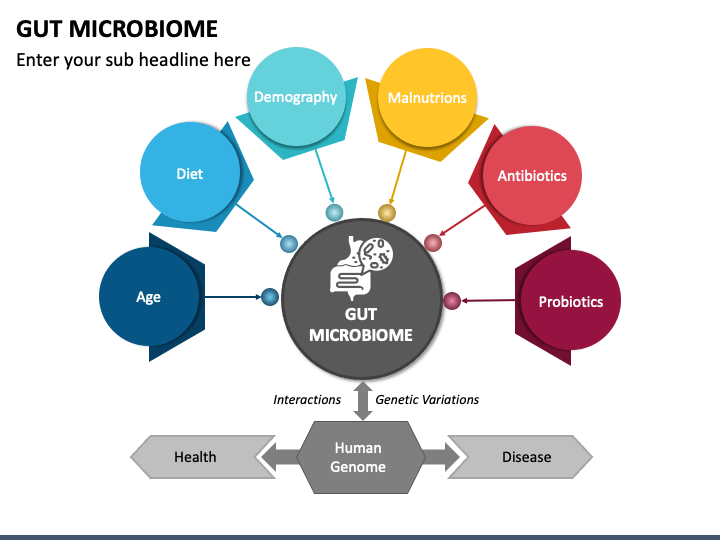 Gut Microbiome PPT Slide 1