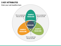 3 Key Attributes PPT Slide 2