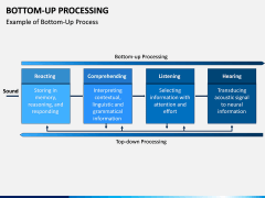 Bottom-Up Processing PPT Slide 4