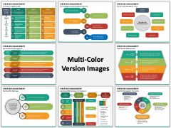 Cyber Risk Management PPT Slide MC Combined