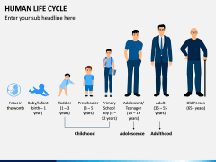 Human Life Cycle PPT Slide 4