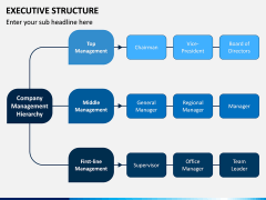 Executive Structure PPT Slide 5