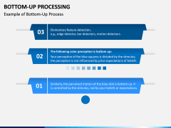 Bottom-Up Processing PPT Slide 2