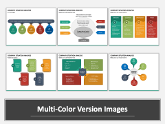 Company Situation Analysis Multicolor Combined