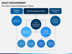 Adult Development PPT Slide 8