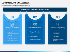 Commercial Excellence PPT Slide 4
