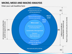 Micro Meso Macro Analysis PPT Slide 4