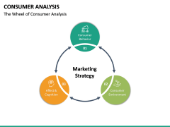 Consumer Analysis PPT Slide 4
