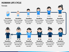 Human Life Cycle PPT Slide 2