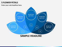 5 Flower Petals PPT Slide 1
