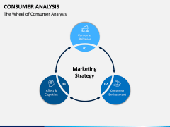 Consumer Analysis PPT Slide 2
