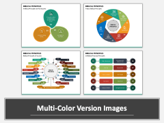 Biblical Principles Multicolor Combined