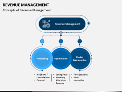 Revenue Management PPT Slide 4