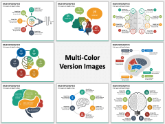 Brain Infographics PPT Slide MC Combined