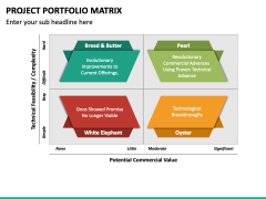 Project Portfolio Matrix PPT Slide 4