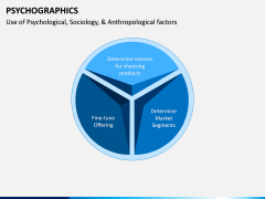 Psychographics PPT Slide 5