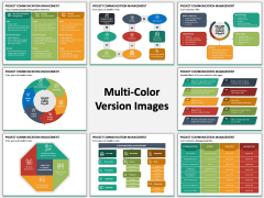 Project Communication Management Multicolor Combined