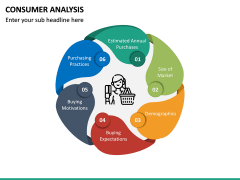 Consumer Analysis PPT Slide 3