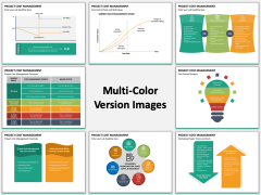 Project Cost Management Multicolor Combined